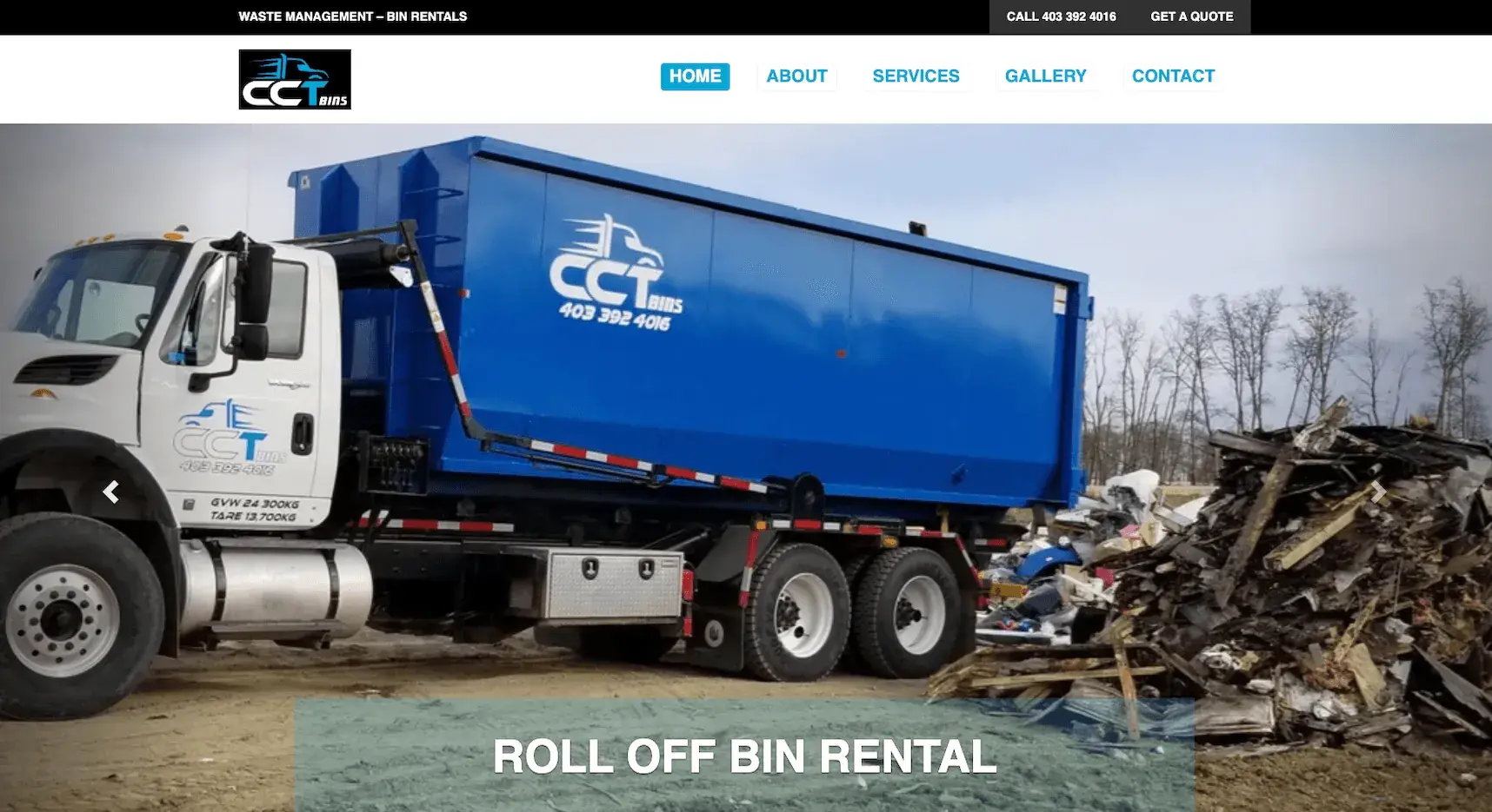 CCT Bins website before redesign
