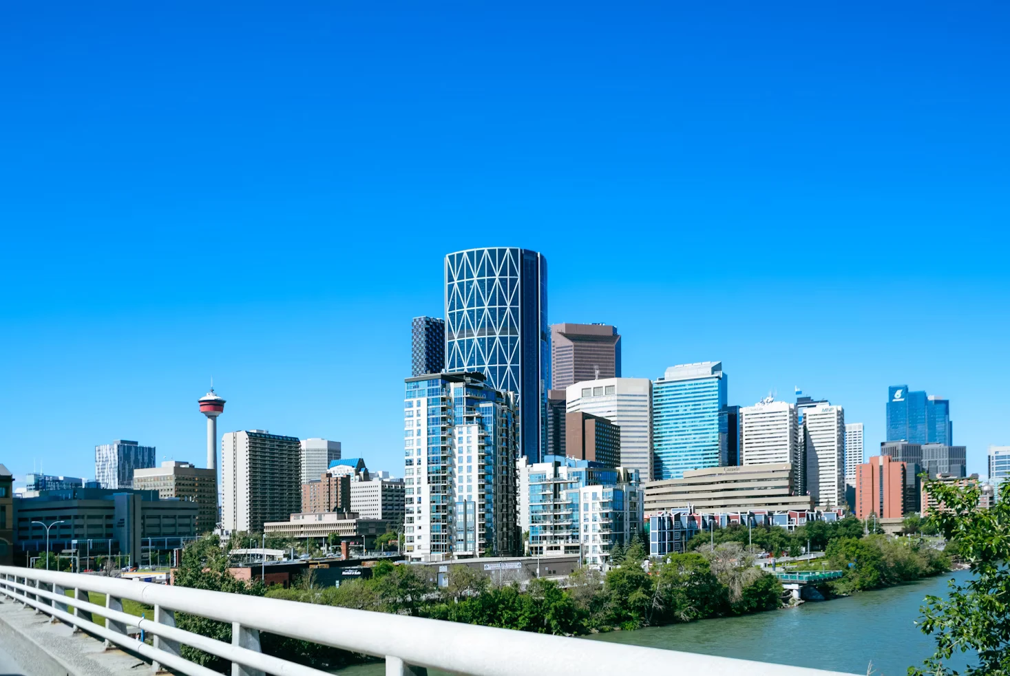Calgary skyline at night, representing professional web design services for Calgary businesses